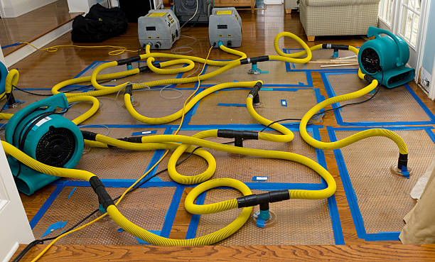 Professional Crawl Space Water Removal technician working in Fostoria, MI